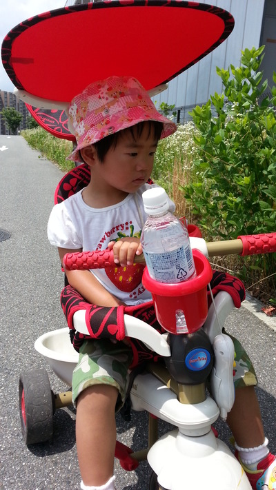 20140629a.jpg