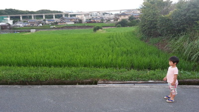 20140710h.jpg