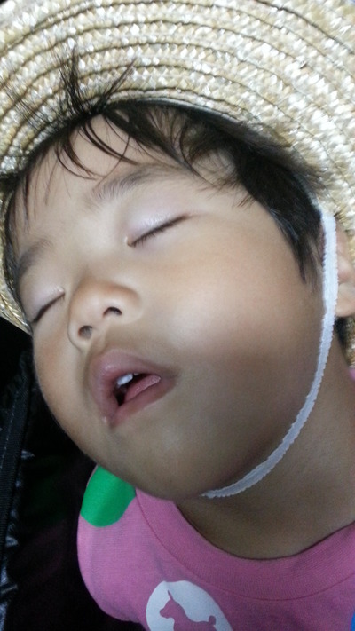 20140716b.jpg
