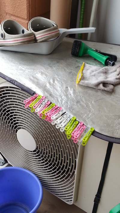 20140718c.jpg