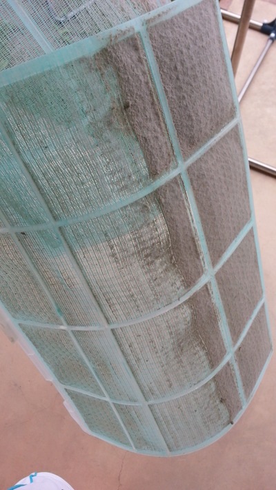 20140719a.jpg
