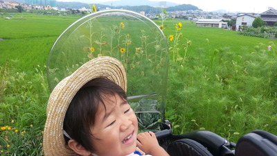 20140719b.jpg