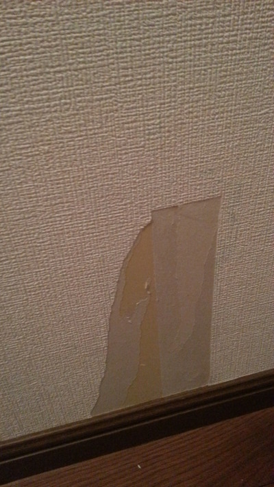 20140728a.jpg