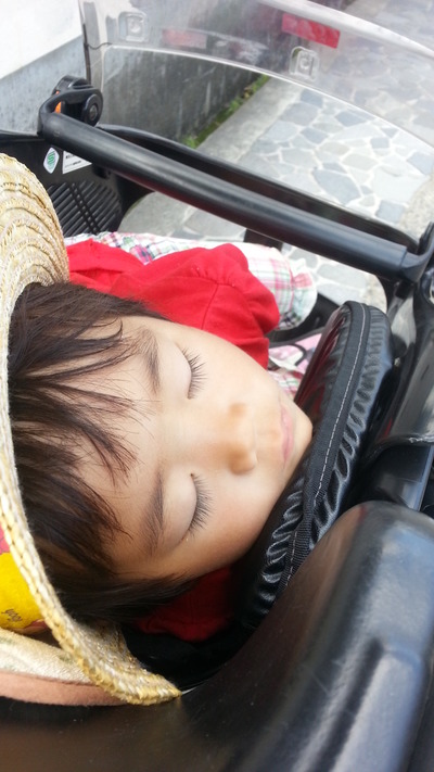 20140728b.jpg