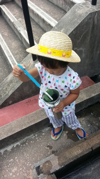 20140730b.jpg