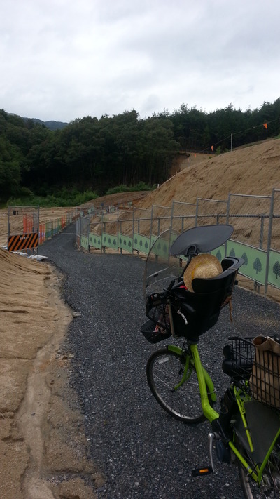 20140804a.jpg