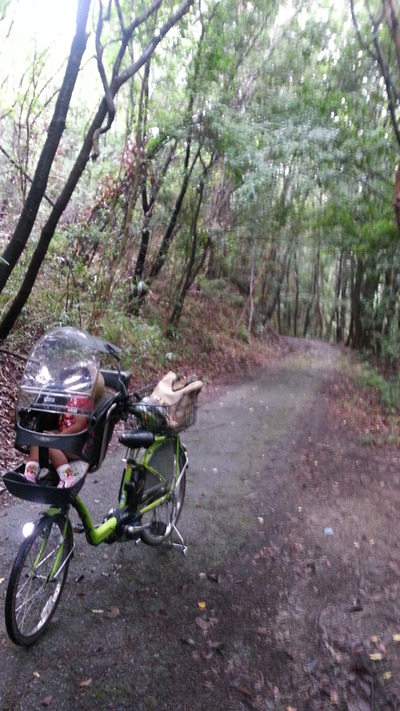 20140804d.jpg