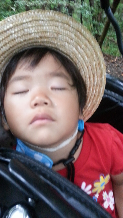 20140804e.jpg