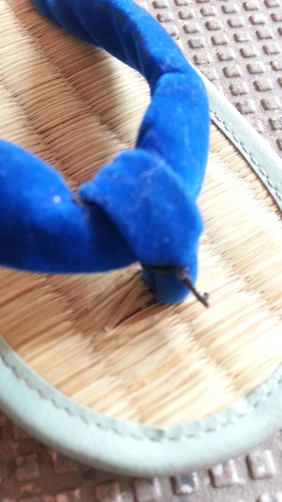 20140805a.jpg