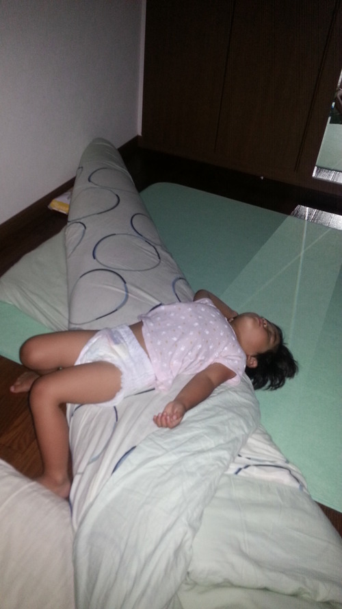 20140808h.jpg