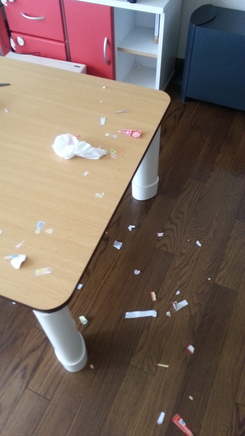 20140809b.jpg