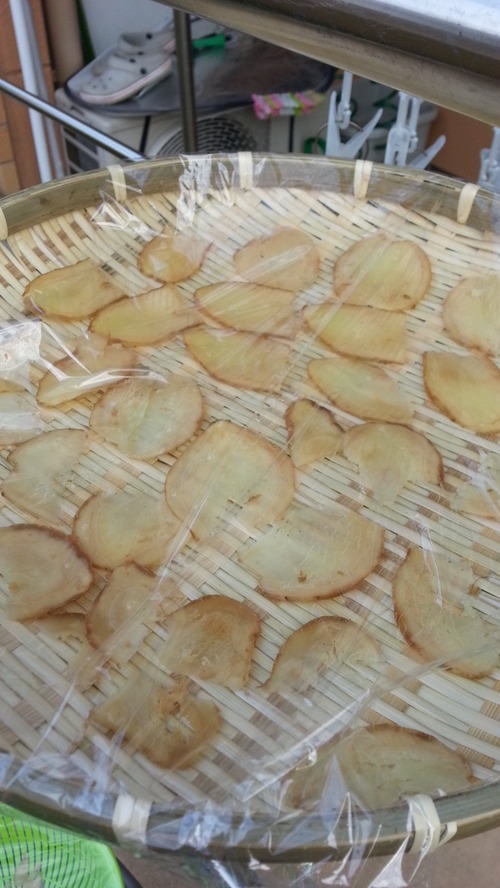 20140811a.jpg