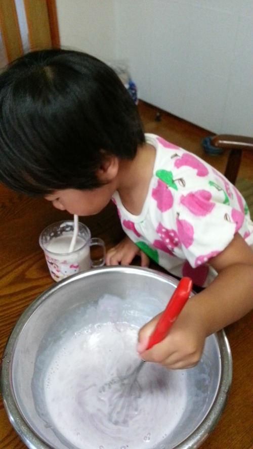 20140814c.jpg