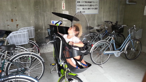 20140815d.jpg
