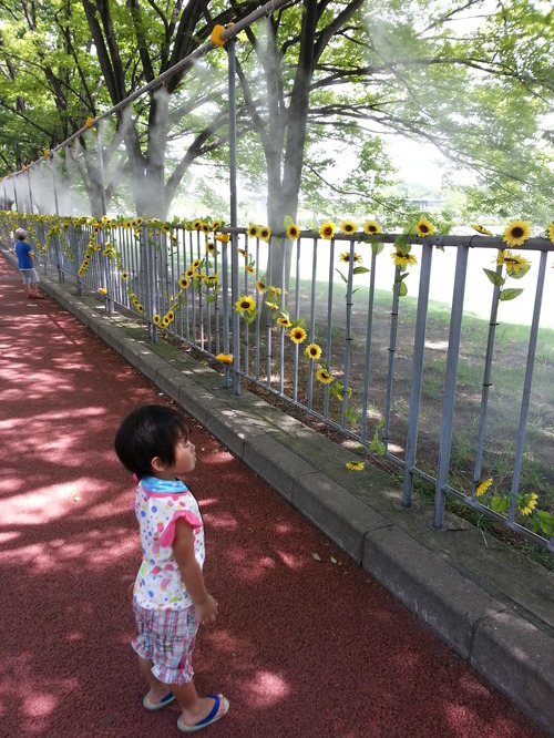 20140818h.jpg