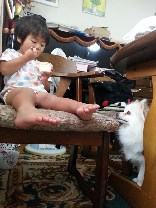 20140820b.jpg