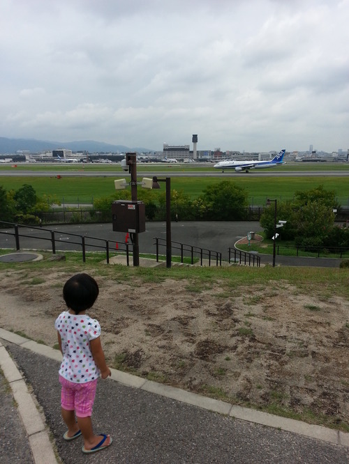 20140825c.jpg