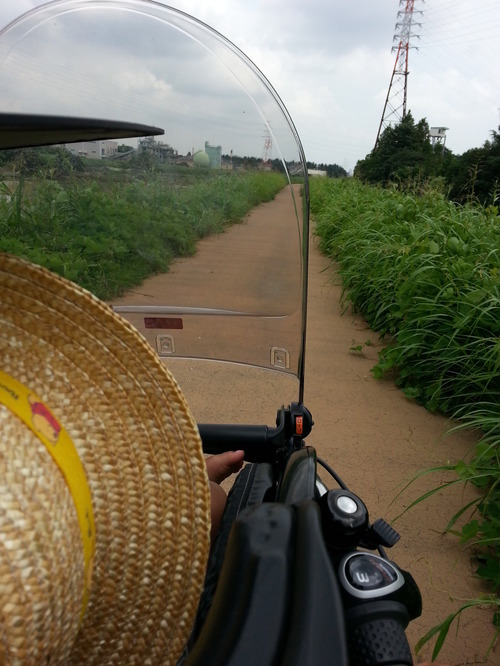 20140825e.jpg