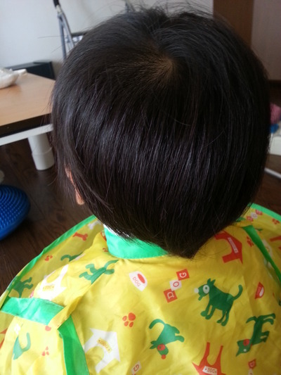20140831c.jpg