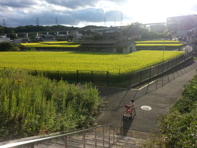 20140925d.jpg