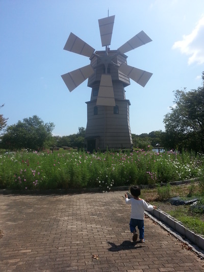 20140928i.jpg