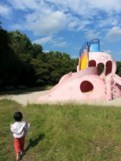 20141016a.jpg