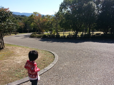 20141024a.jpg