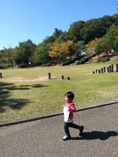 20141024c.jpg