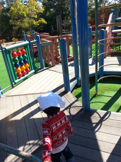 20141024e.jpg