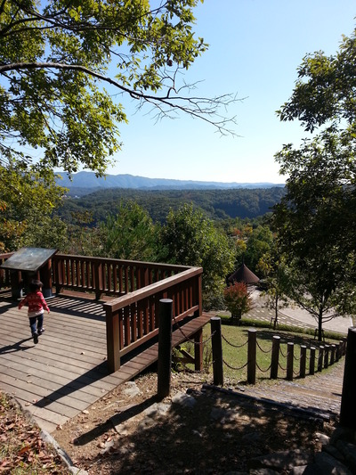 20141024l.jpg