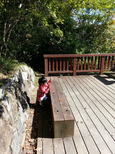 20141024m.jpg
