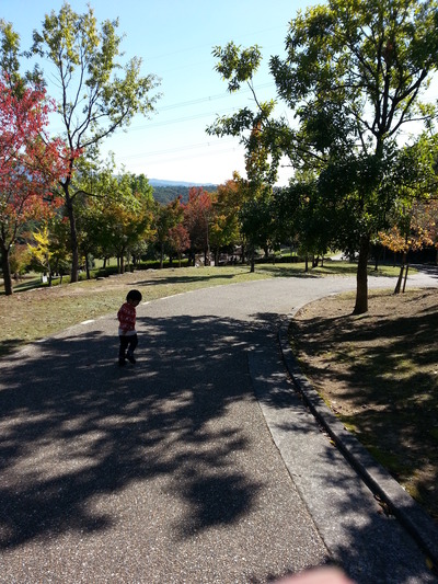 20141024p.jpg