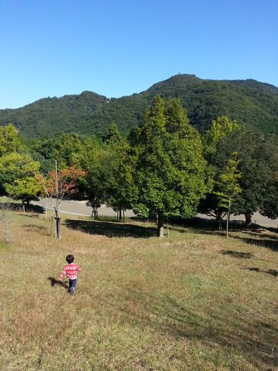 20141024t.jpg