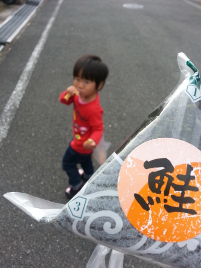 20141025d.jpg