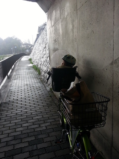 20141102f.jpg
