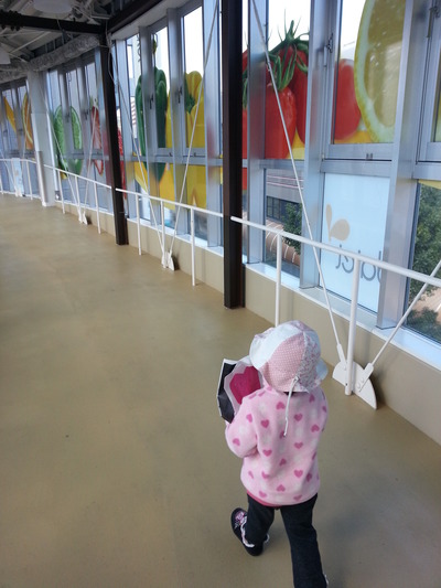 20141103i.jpg