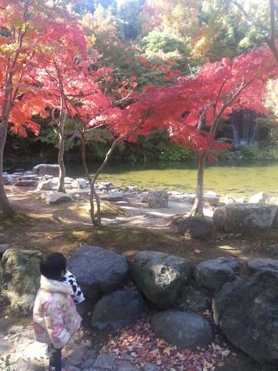 20141114c.jpg