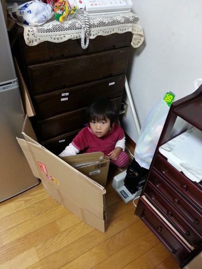 20141119a.jpg