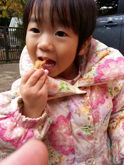 20141120a.jpg