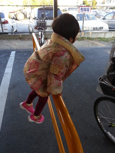 20141120b.jpg