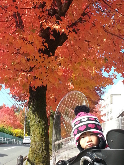 20141128a.jpg