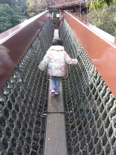 20141202a.jpg