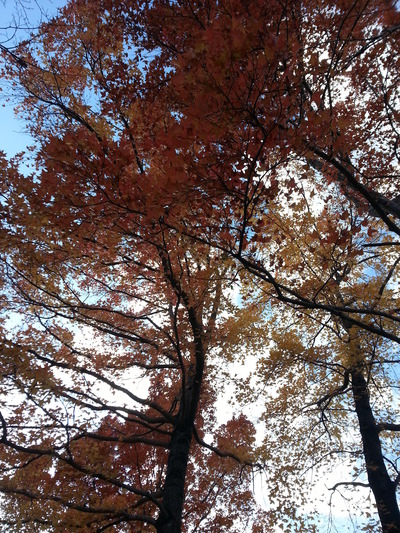 20141202a2.jpg