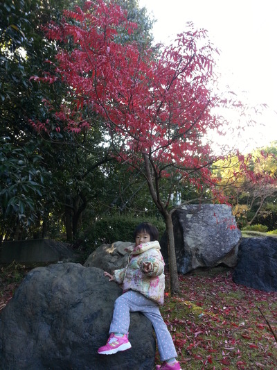 20141202b.jpg