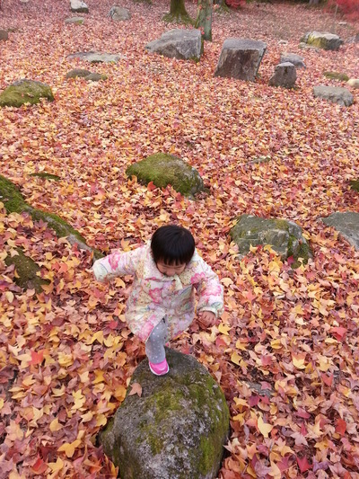 20141202b2.jpg