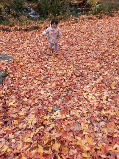 20141202o.jpg