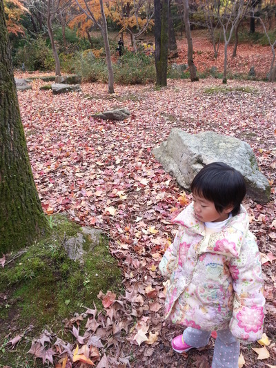 20141202u.jpg