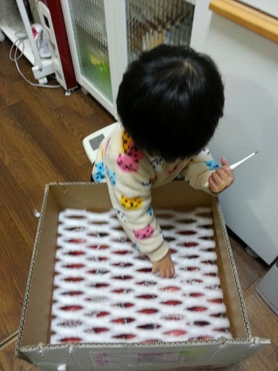 20141215d.jpg