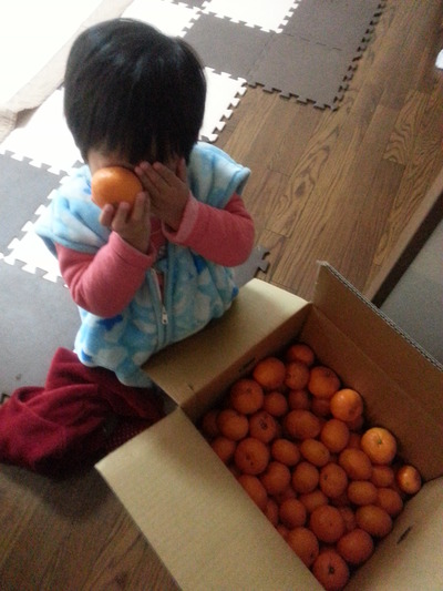 20141220f.jpg