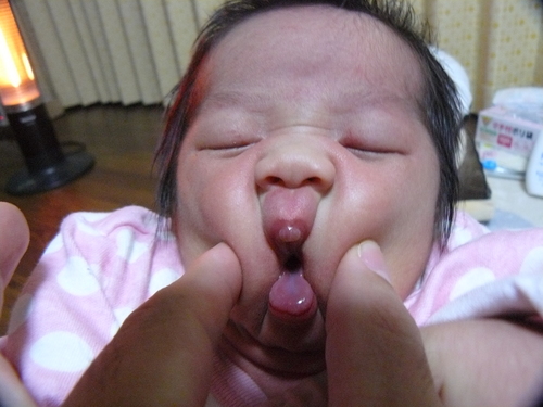 P1070200.JPG